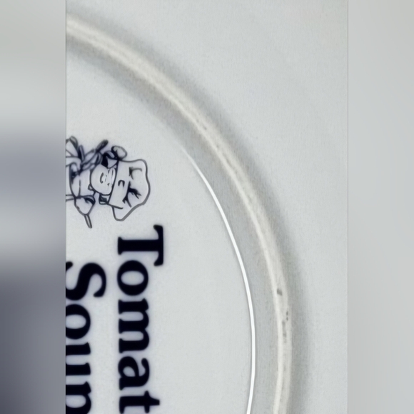 Tomato Soup Collector Plate #D673 Vintage 1993 The Campbell Kids by Danbury Mint - Picture 4 of 4